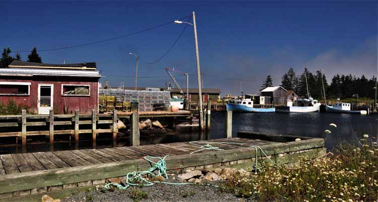harbor